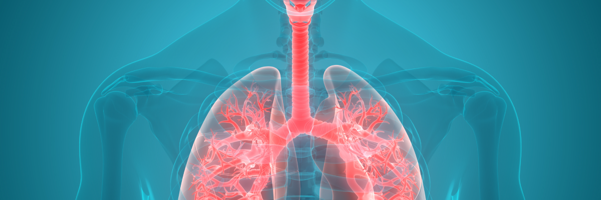 Respiratory-System